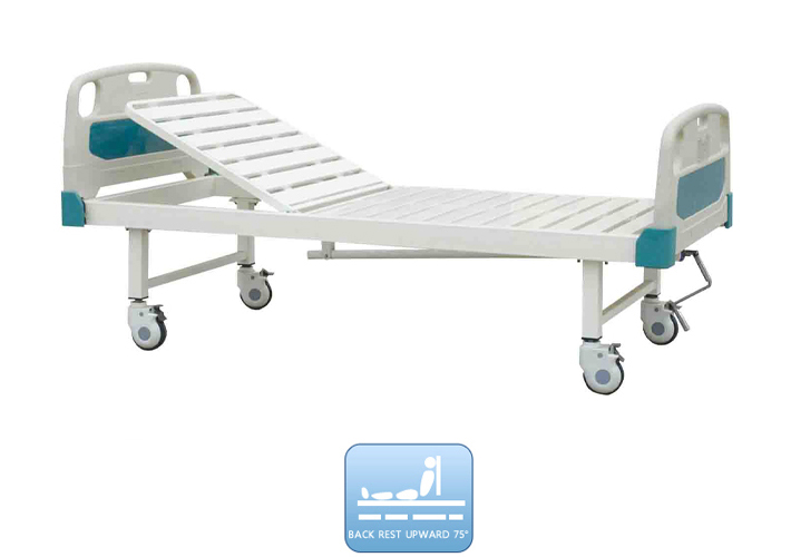 DW-BD101 Manual bed with single function